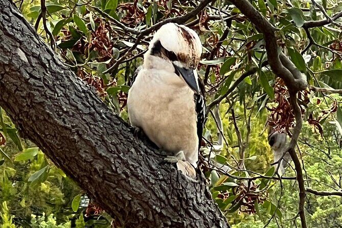 Melbourne: Private Wilson Promontory National Park Day Tours - FAQ