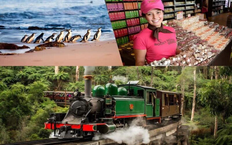 Melbourne Puffing Billy Penguin Yarra Valley Wine choc Tour - Who This Tour Is Perfect For