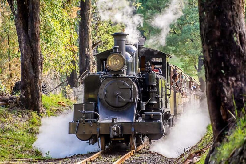 Melbourne Puffing Billy & Penguins Day Tour - What to Expect from the Tour