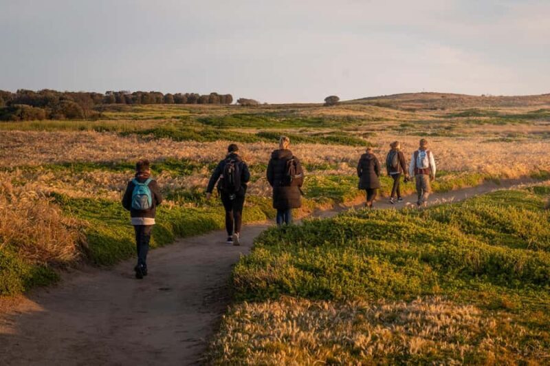 Melbourne Puffing Billy & Penguins Day Tour - Who Should Consider This Tour?