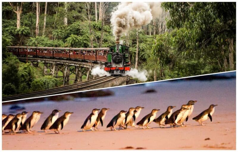 Melbourne: Puffing Billy Railway & Penguin Parade Day Tour - Authentic Encounters and Practical Tips