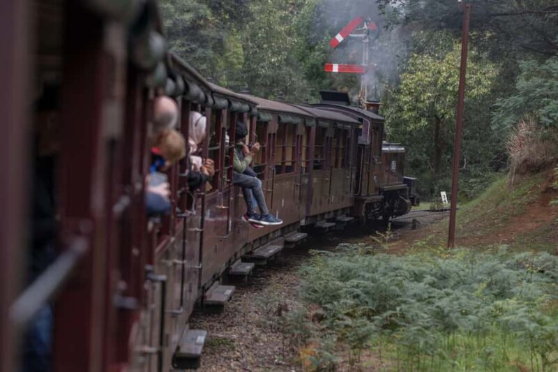 Melbourne: Puffing Billy Railway & Penguin Parade Day Tour - FAQ