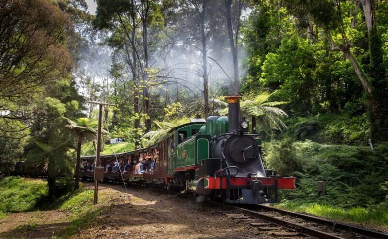 Melbourne: Puffing Billy Railway & Rainforest Tour - Practical Aspects and Tips