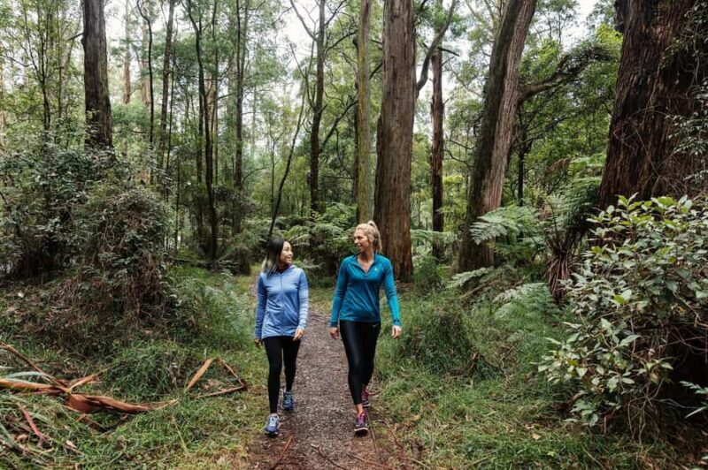 Melbourne: Puffing Billy Railway & Rainforest Tour - FAQs