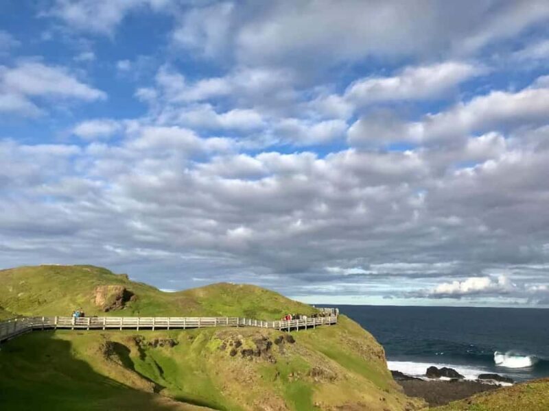 Melbourne: Puffing Billy Train & Penguin Island Excursion - An Overview of the Experience