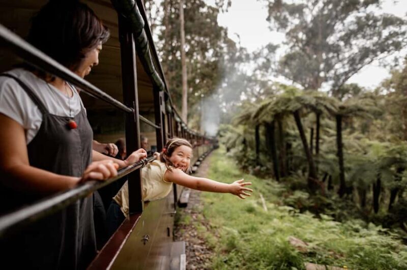 Melbourne: Puffing Billy Train & Penguin Parade Adventure - A Detailed Look at the Tour Experience