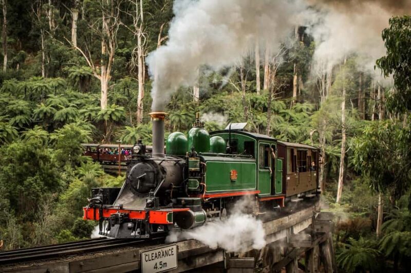 Melbourne: Puffing Billy Train Wildlife Zoo Private Tour - Wildlife Encounters at Moonlit Sanctuary