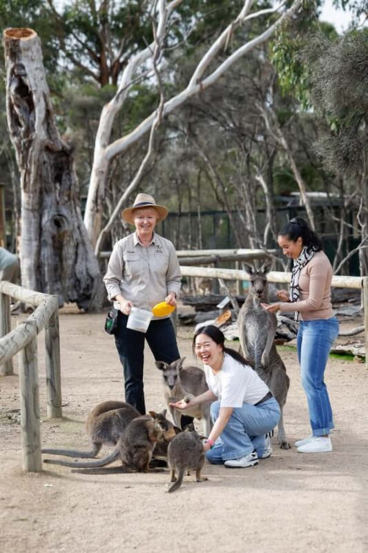 Melbourne: Puffing Billy Train Wildlife Zoo Private Tour - FAQ