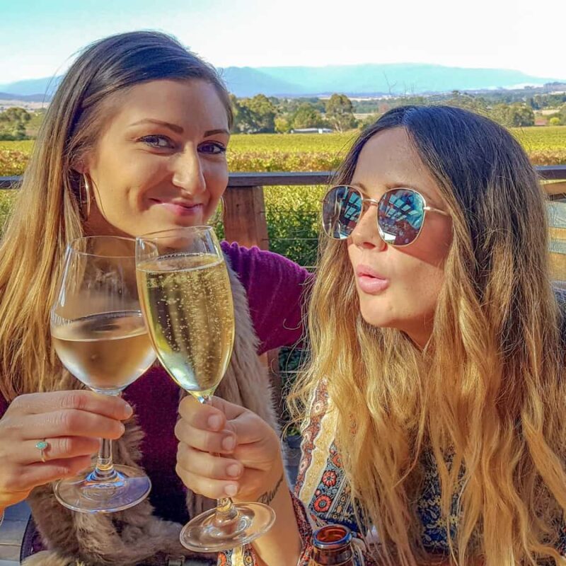 Melbourne: Relaxed Half-Day Yarra Valley Wine Tour - Practical Considerations