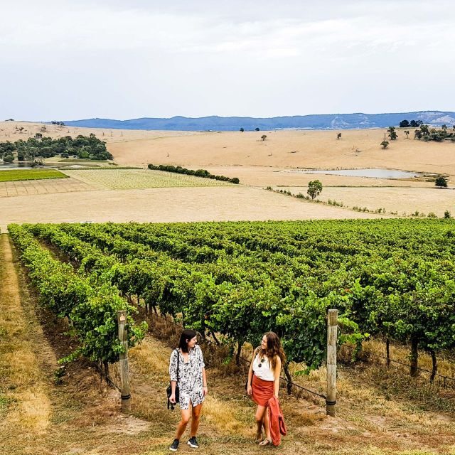 Melbourne: Relaxed Half-Day Yarra Valley Wine Tour - Authentic Insights from Reviews