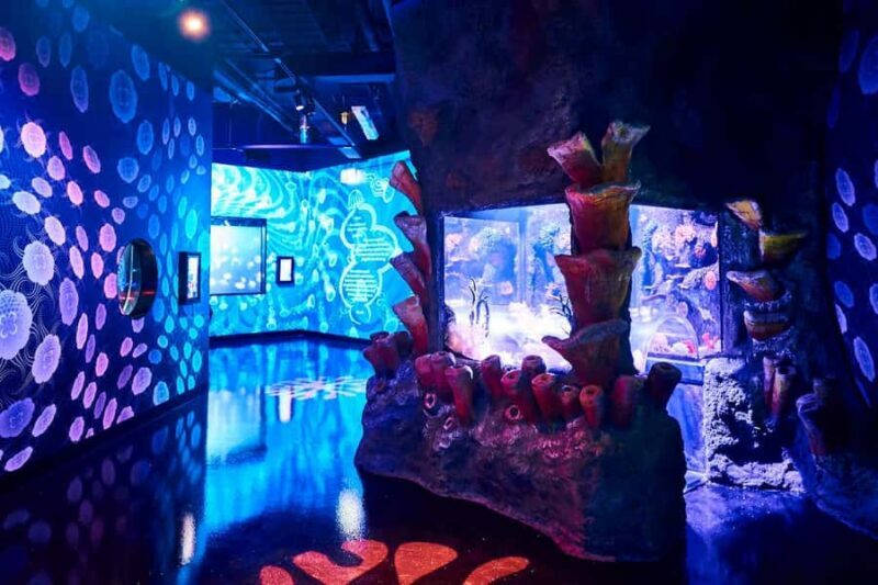Melbourne: SEA LIFE Aquarium Entrance Ticket - The Practical Side: Visiting and Getting Around