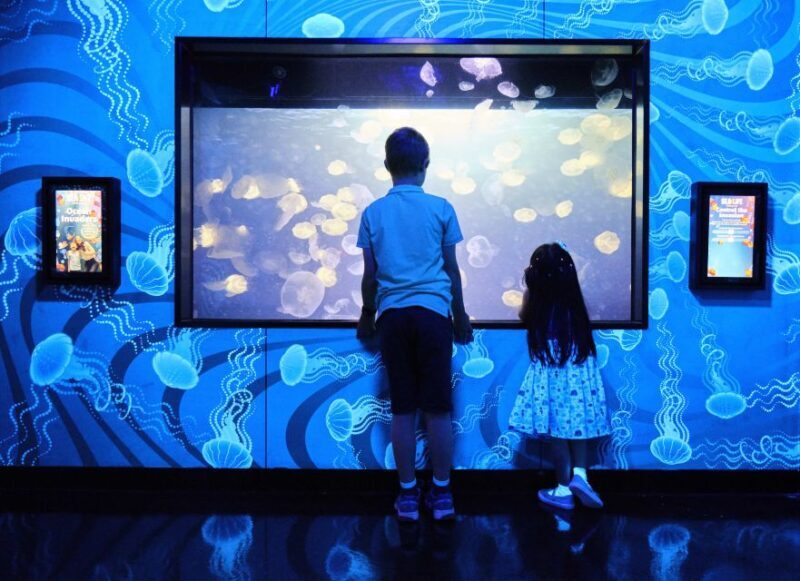 Melbourne: SEA LIFE Aquarium Entrance Ticket - Who’s This Tour Best For?