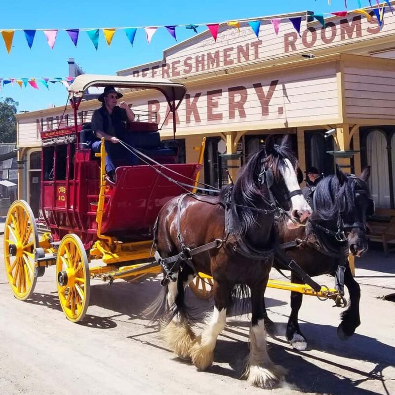 Melbourne: Sovereign Hill and Lake Ballarat Day Trip - The Itinerary: What to Expect from Start to Finish