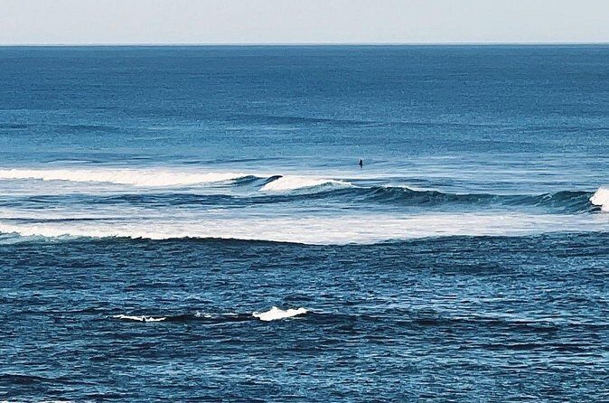 Melbourne: The Great Ocean Road Private Tour - Making the Most of Your Day