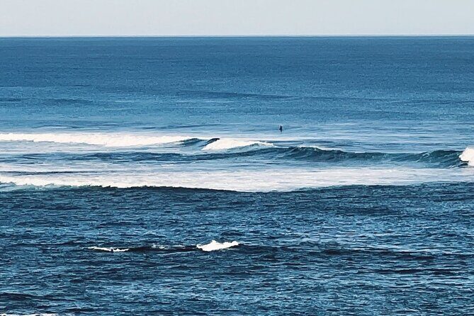 Melbourne: The Great Ocean Road Private Tour - Who Will Love This Tour?