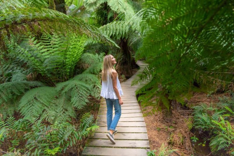 Melbourne to Adelaide: 2-Day Great Ocean Road Grampians Tour - Final Thoughts