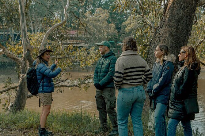 Melbourne Tours Walk the Yarra & Historic Boathouse Lunch - Key Points