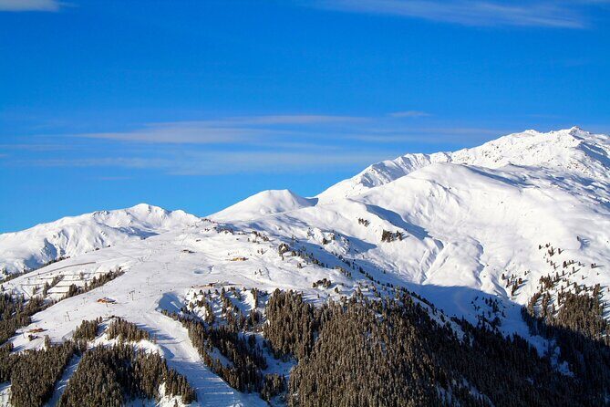 Melbourne: Ultimate Mt Baw Baw Snow Private Tour Experience. - What You Can Expect from the Tour