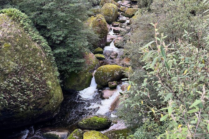 Melbourne: Ultimate Mt Baw Baw Snow Private Tour Experience. - Who Is This Tour Best For?
