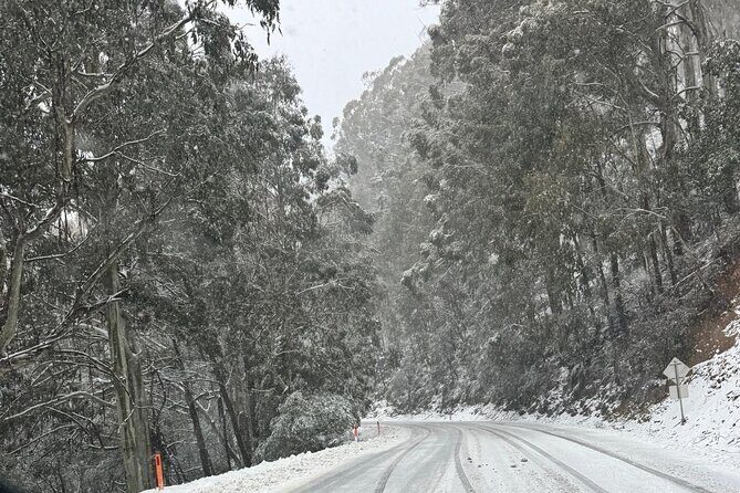 Melbourne: Ultimate Mt Baw Baw Snow Private Tour Experience. - Final Thoughts