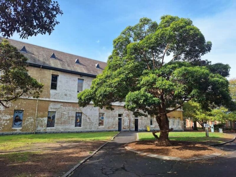 Melbourne: Walk the Yarra to Heritage Abbotsford Convent - Dights Falls and Indigenous Heritage