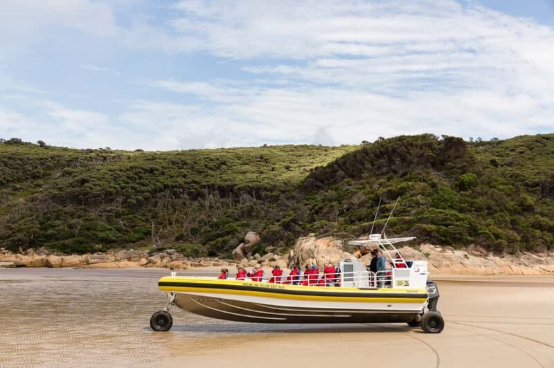 Melbourne: Wilsons Promontory Morning Wilderness Cruise - Key Points