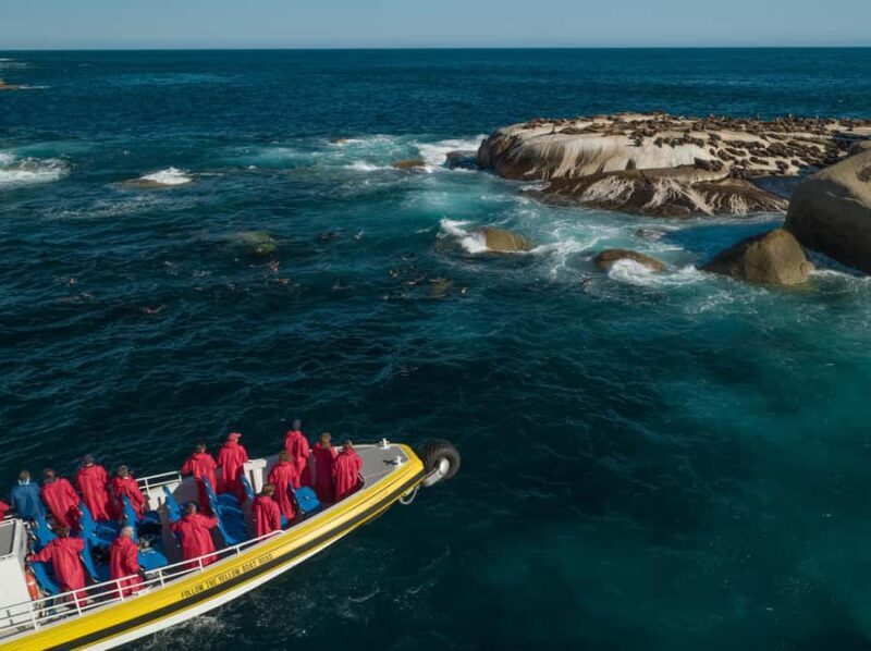 Melbourne: Wilsons Promontory Morning Wilderness Cruise - The Experience in Detail