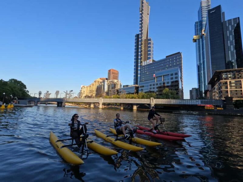 Melbourne: Yarra River Twilight Waterbike Tour - An Overview of the Yarra River Twilight Waterbike Experience