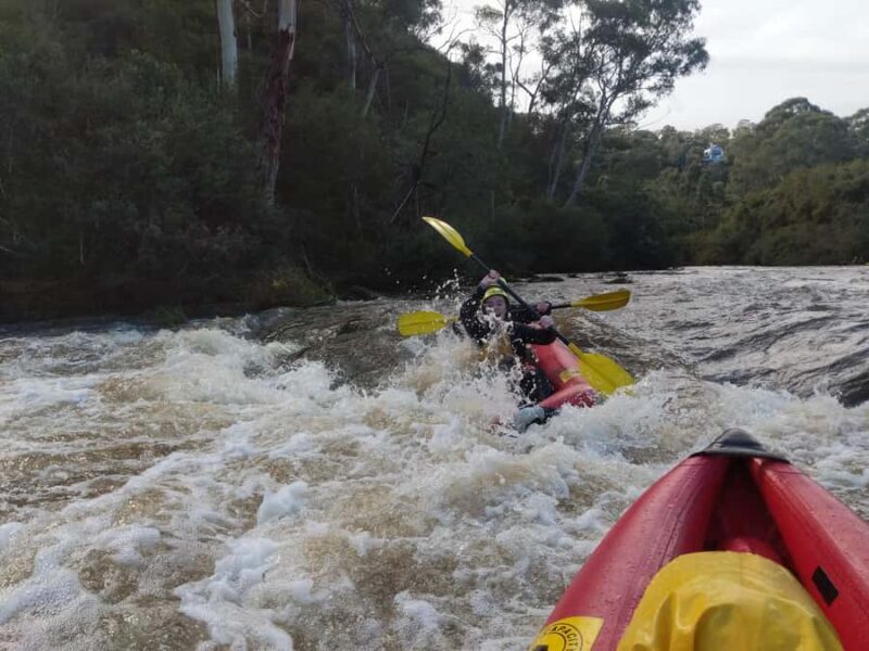 Melbourne: Yarra River Whitewater Kayaking Adventure - What to Expect from the Yarra River Whitewater Kayaking Tour