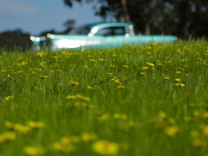 Melbourne: Yarra Valley Food & Wine Tour in a '56 Chevrolet - Passing by TarraWarra Estate & Visiting Local Producers