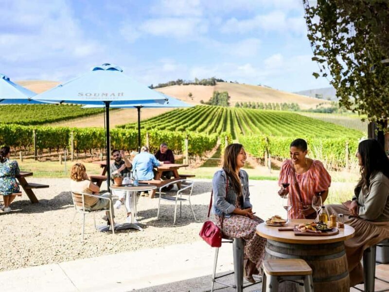 Melbourne: Yarra Valley Half-Day Wine Tour - An Introduction to the Tour