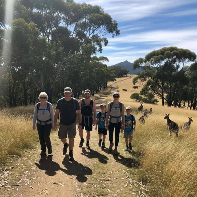 Melbourne: Yarra Valley Hike with Kangaroos & Sunset Picnic - Key Points