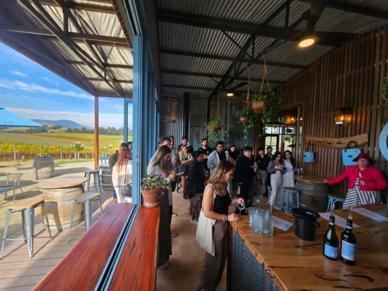 Melbourne: Yarra Valley Wine, Gin, Whisky and Chocolate Tour - Introduction: Why This Tour Is a Solid Choice