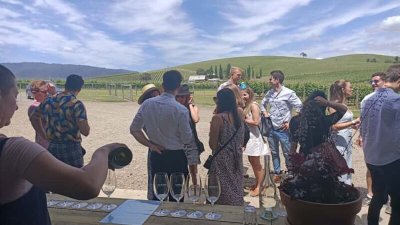 Melbourne: Yarra Valley Wine, Gin, Whisky and Chocolate Tour - Practical Details & Tips