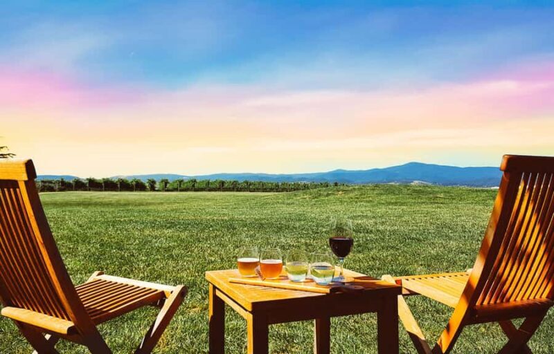Melbourne: Yarra Valley Wine Tour + Lunch & Gin/Beer Option - The Itinerary in Detail