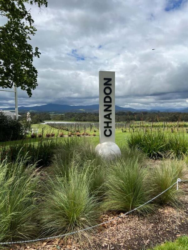Melbourne: Yarra Valley Wineries Private Day Tour - A Closer Look at the Yarra Valley Wineries Private Day Tour