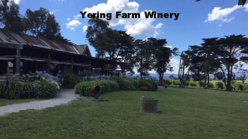 Melbourne: Yarra Valley Winery Private Tour with Lunch - An In-Depth Review of the Yarra Valley Private Tour