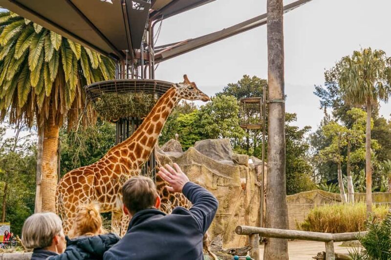 Melbourne Zoo: 1-Day Entry Ticket - Final Thoughts