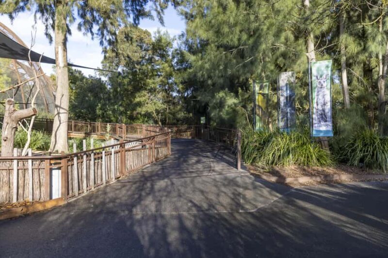 Melbourne Zoo: Australian Wildlife Experience Ticket - Who Will Love This Experience?