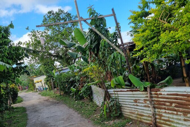 Mele Village Guided Walking Tour - Real Experiences and Authentic Insights