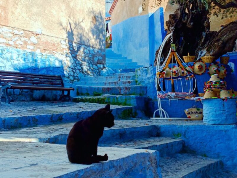 Memorable Day Trip From Fez to Chefchaouen the Blue City - Frequently Asked Questions