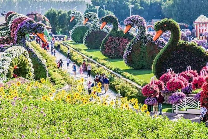 Memorable Evening at Dubai Global Village with Dubai Miracle Garden Visit !! - What You Should Know Before Booking