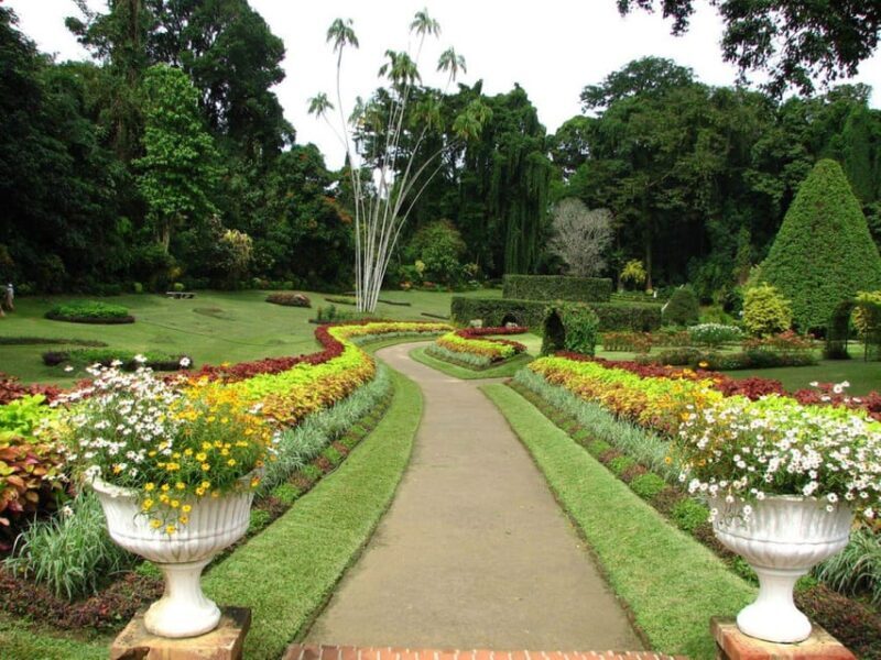 Memorable Tuk Tuk City Tour of Kandy - Final Words: Is This Tour Worth It?