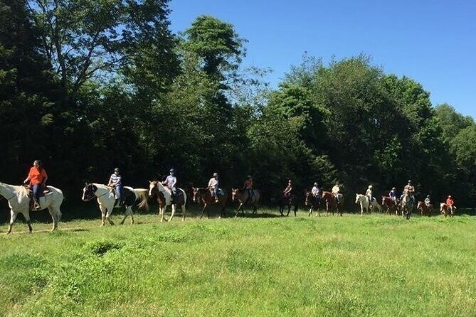 Memphis Horseback Trail Ride Tour - Value for Money and Booking