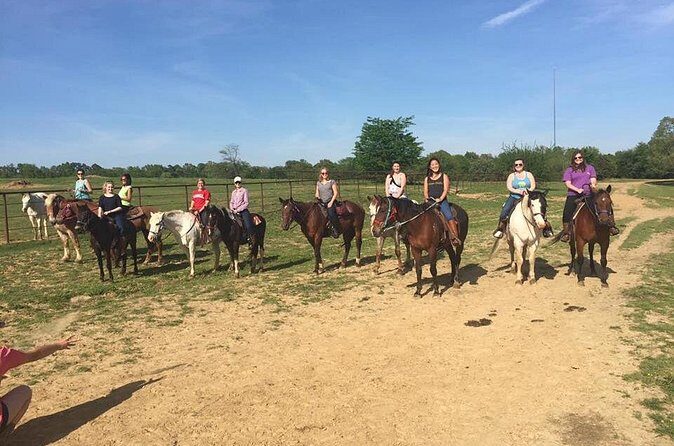 Memphis Horseback Trail Ride Tour - Who Will Love This Tour?