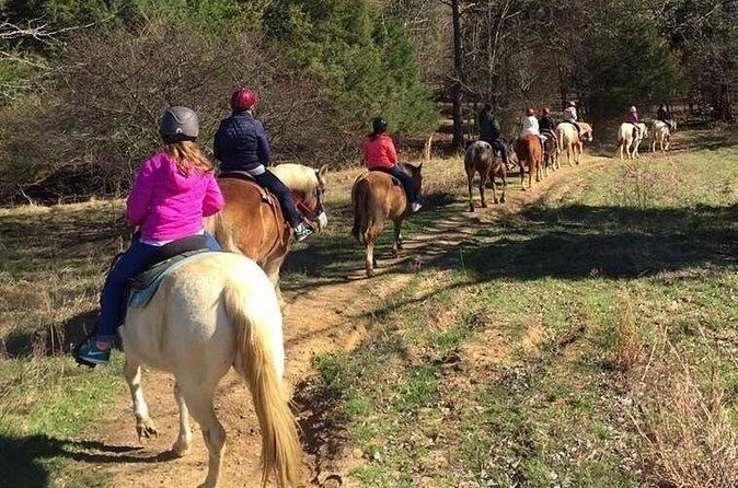 Memphis Horseback Trail Ride Tour - A Few Caveats