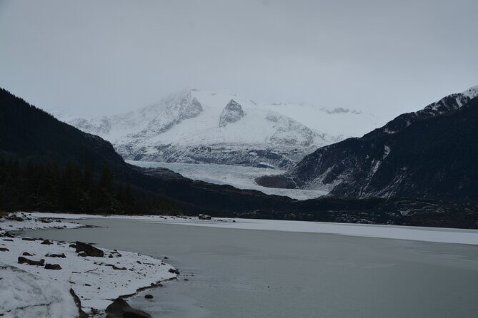 Mendenhall Glacier and Whale Watching Tour - An In-Depth Look at the Tour