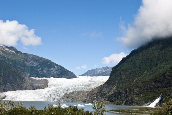 Mendenhall Glacier Trolley Tour - An Overview of the Tour Experience
