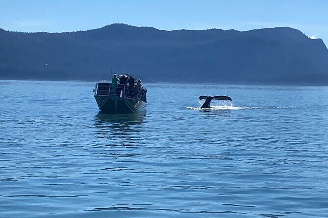 Mendenhall Glacier Waterfall and Whale Watching Tour - Discovering Juneau: An In-Depth Look at the Tour