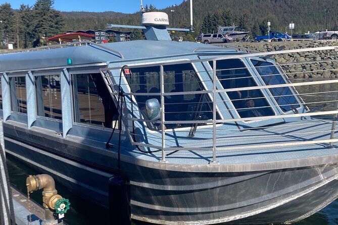 Mendenhall Glacier Waterfall and Whale Watching Tour - Who Should Book This Tour?